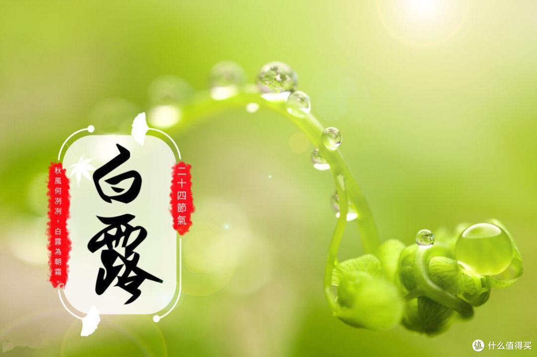 9月7日白露，老话“白露有3宝，天凉少不了”，指的那“3宝”？