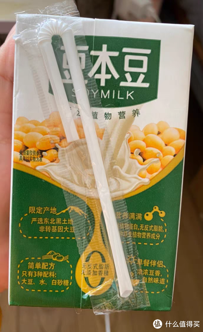 豆本豆背面