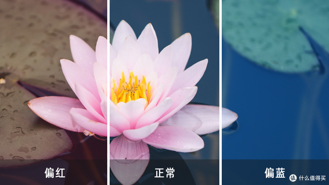 一键调色,还原本真色彩 —— Datacolor校色套装