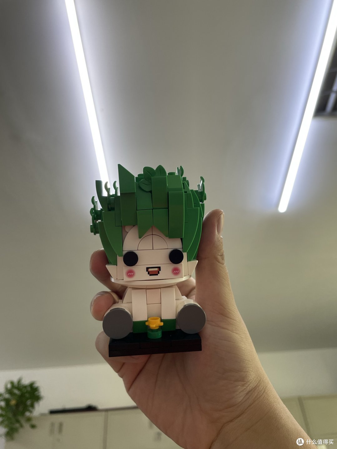 给菜王举高高，背景里有办公室的铁皮橱子还有绿植。橱子顶上有个平板扫描仪。