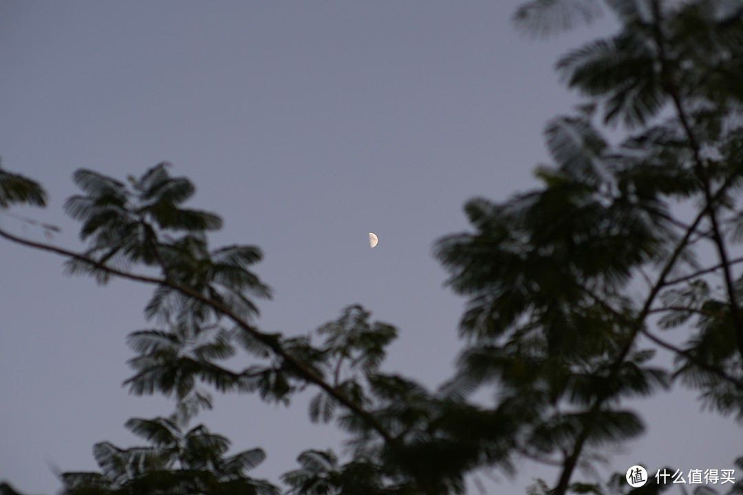 我买过最划算的大光圈E卡口手动镜头，仅需400元的二手50mm F1.2