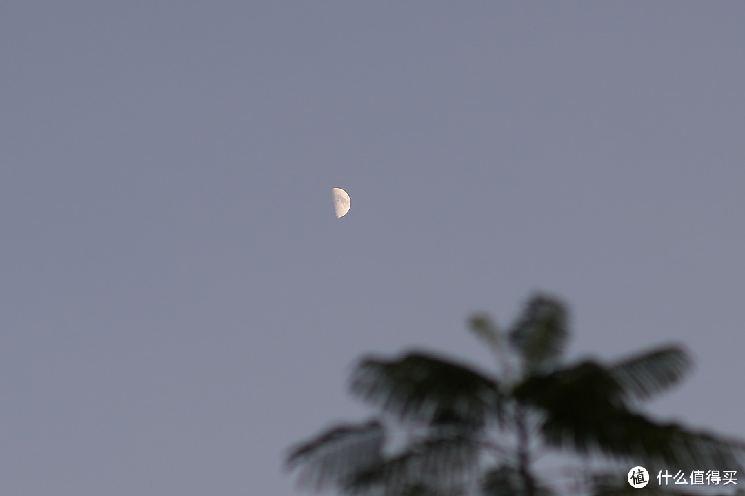 我买过最划算的大光圈E卡口手动镜头，仅需400元的二手50mm F1.2