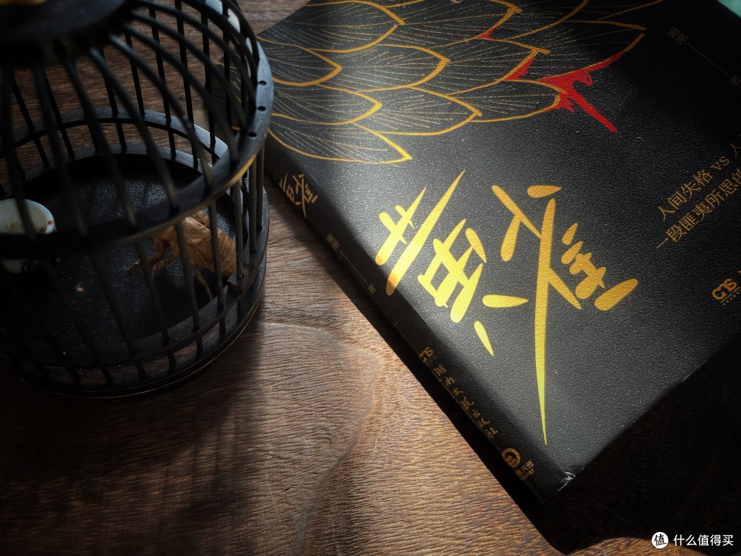 一本以“南大碎尸案”为药引子的悬疑小说