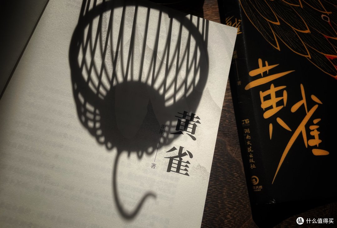 一本以“南大碎尸案”为药引子的悬疑小说