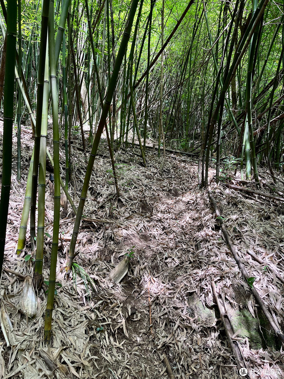 夏日溯溪好去处，武宁石榴港