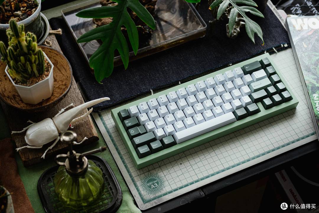 植物园实拍,来自zf Febust