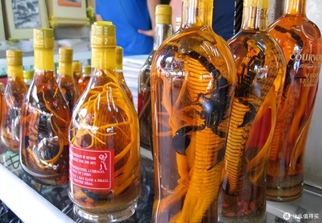 药酒不能随便泡?行家:别大意,记住这4点,否则“好酒变毒酒”