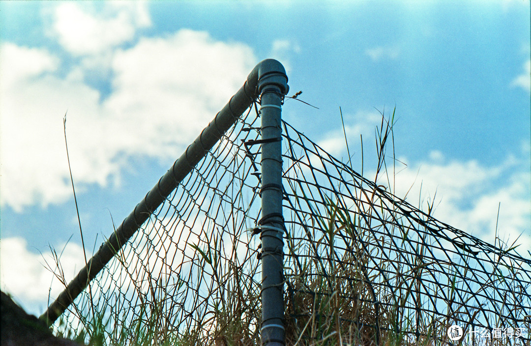 Fujifilm C200胶卷 + Konica TC + Hexanon AR 85mm F1.8