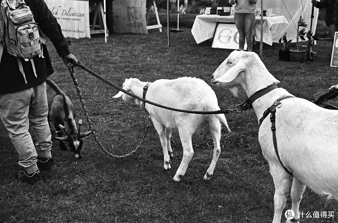 Ilford HP5+胶卷 +FujicaST801 + EBC Fujinon 55mm F1.8