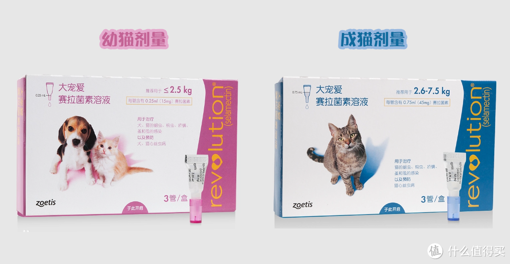 养猫必看|新手铲屎官必备驱虫攻略【纯干货】