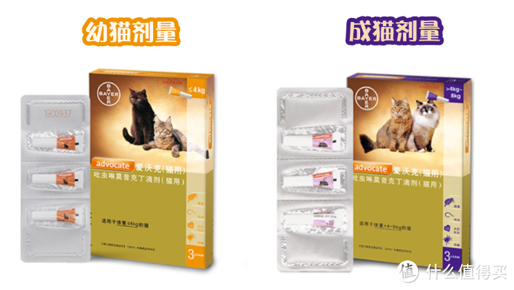 养猫必看|新手铲屎官必备驱虫攻略【纯干货】