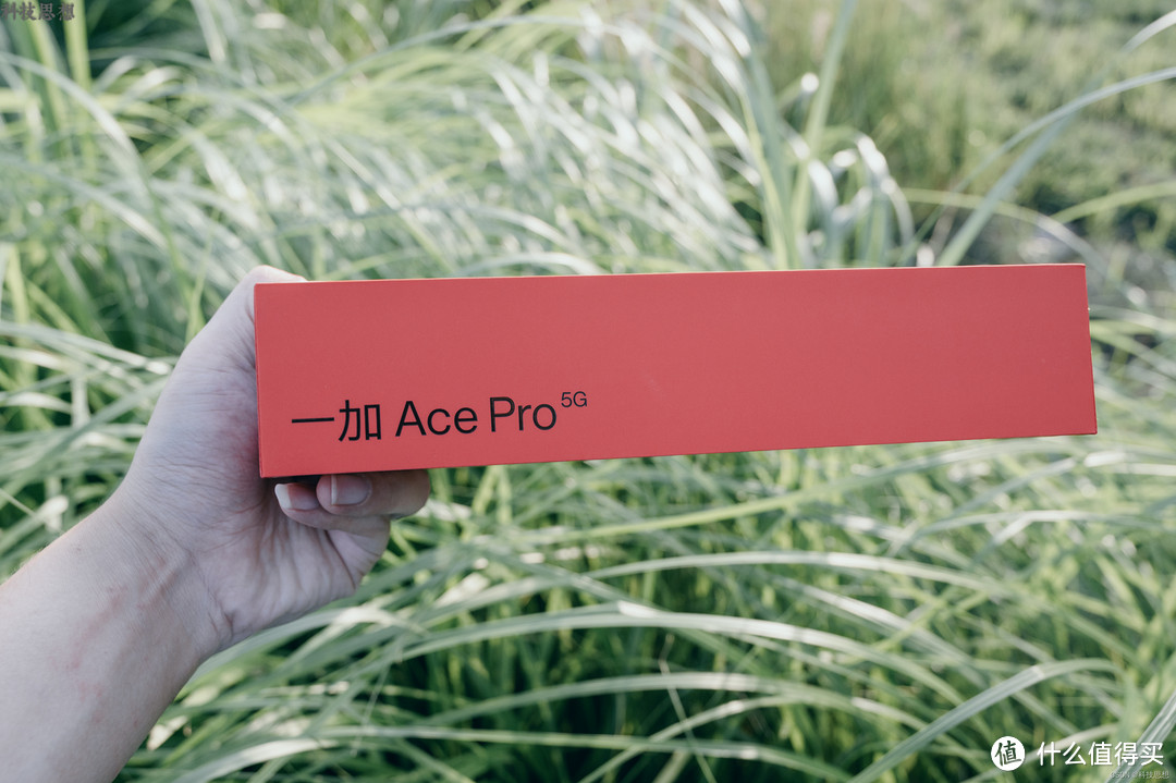 手游玩家的新选择，一加Ace Pro“青“开箱