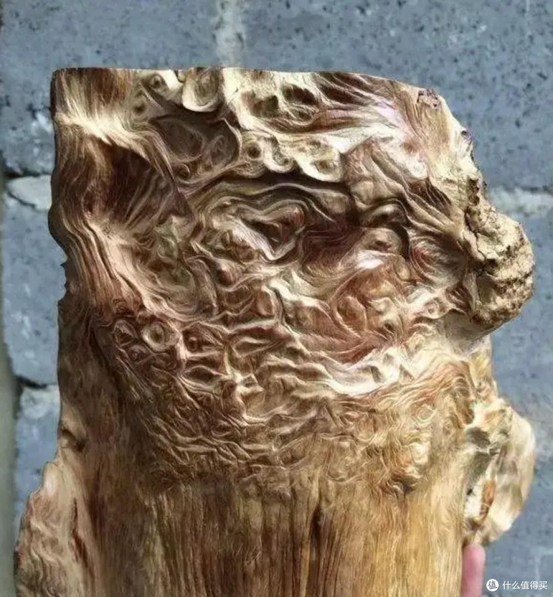 若是你有这8种崖柏,那么告诉你,你想不发财都难