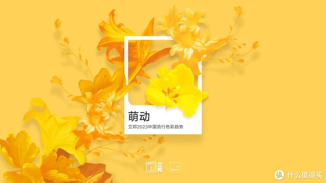 同样是装修,为什么别人家的色彩搭配,就是杂志封面?