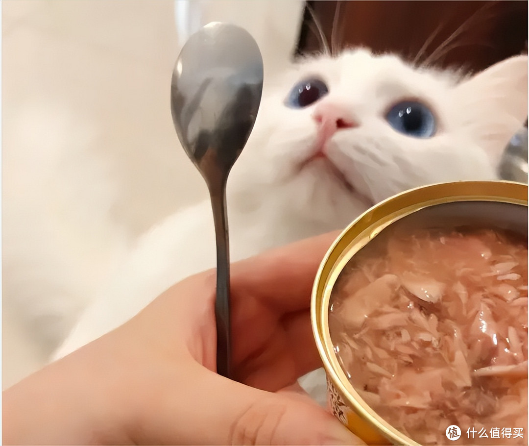 新手铲屎官须知——猫零食你不得不知道的事。