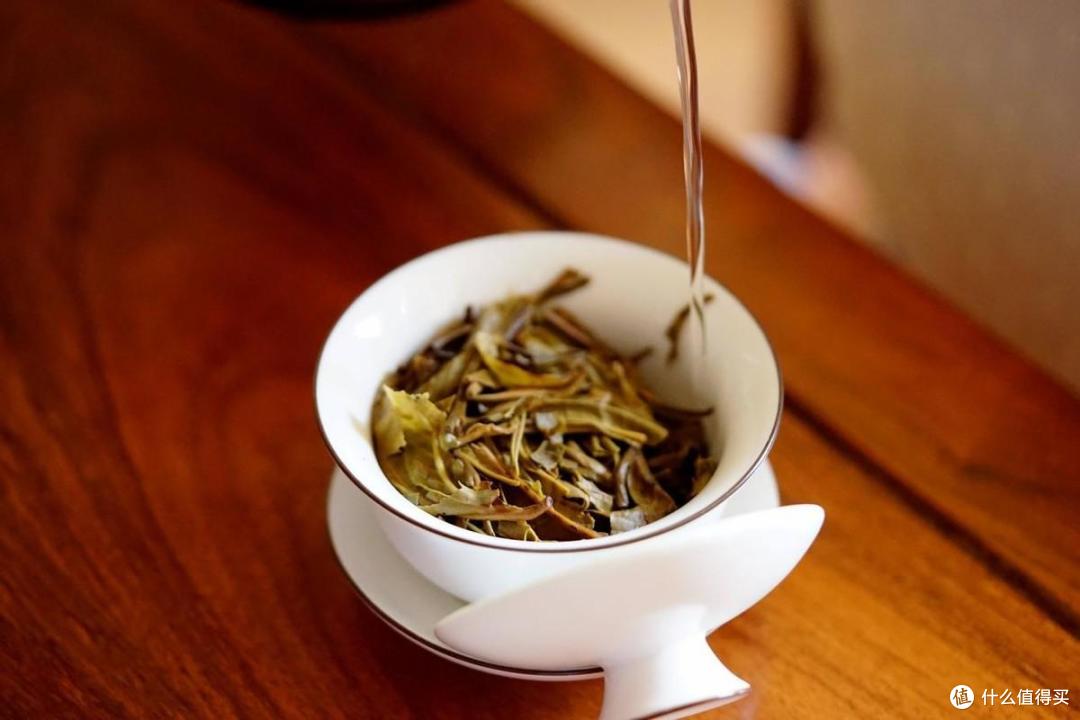 每次泡的茶都涩口难喝?知道这两点,你也能泡出醇香回甘的好茶