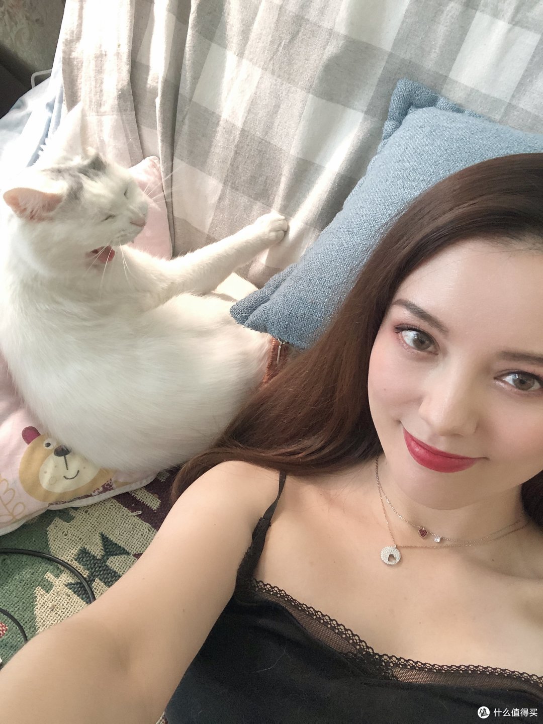 猫新手看过来,猫咪零食这样选。