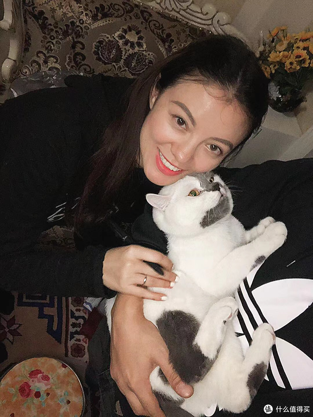 猫新手看过来,猫咪零食这样选。
