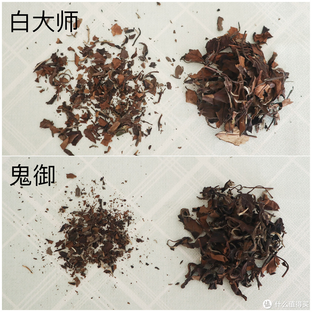 白茶入门为何选寿眉？详细测评轻松品懂老寿眉！