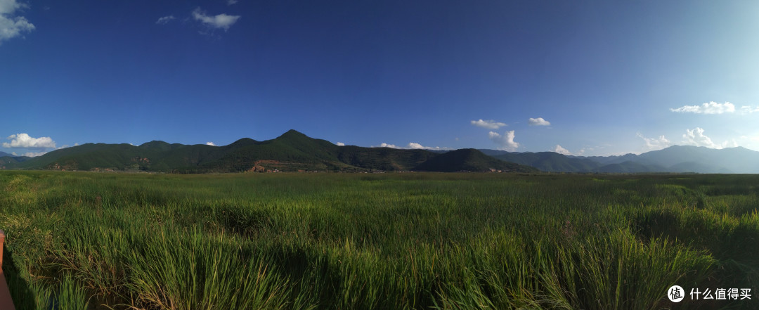 全景