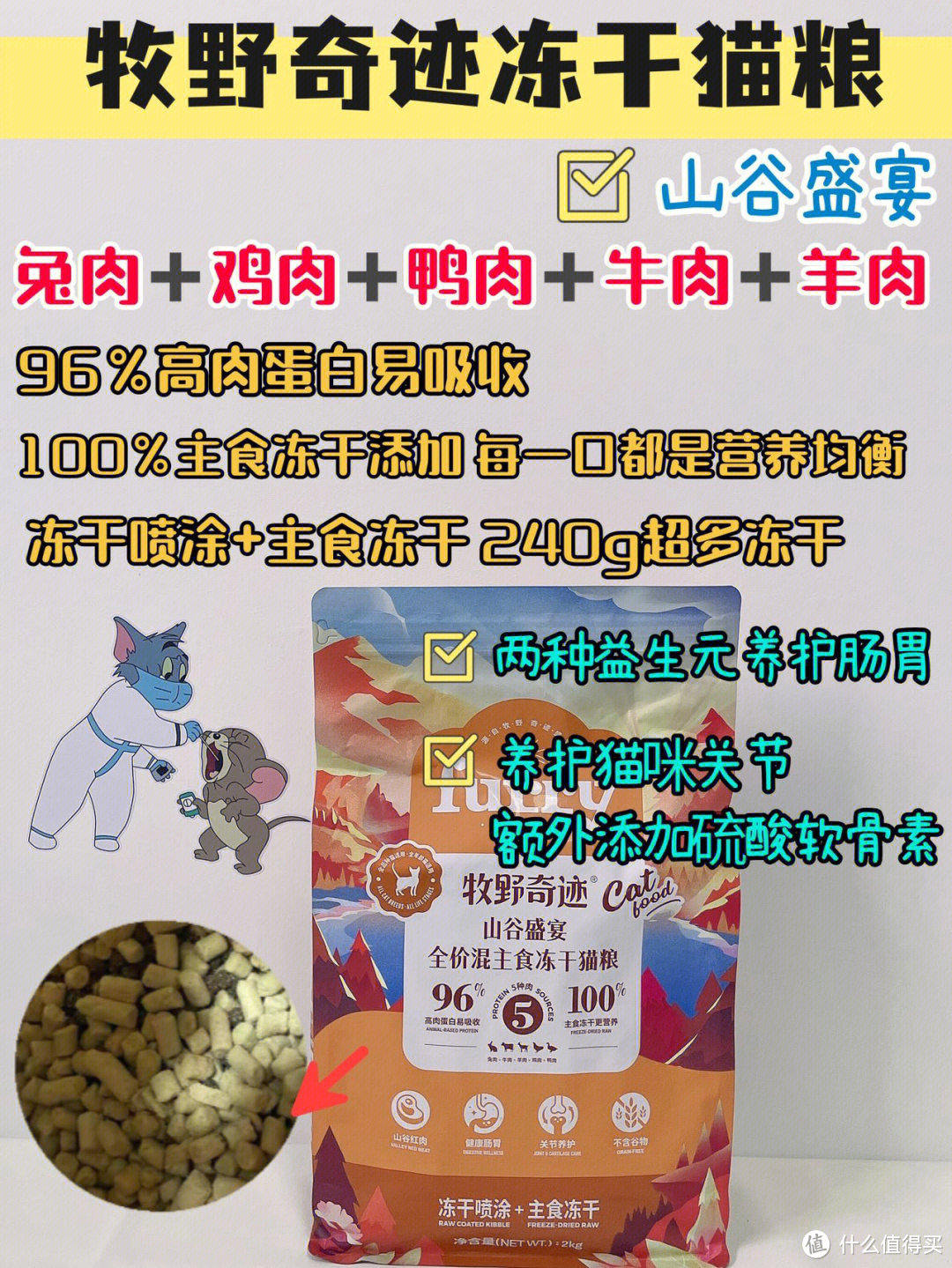 粮大测评新手养猫看过来