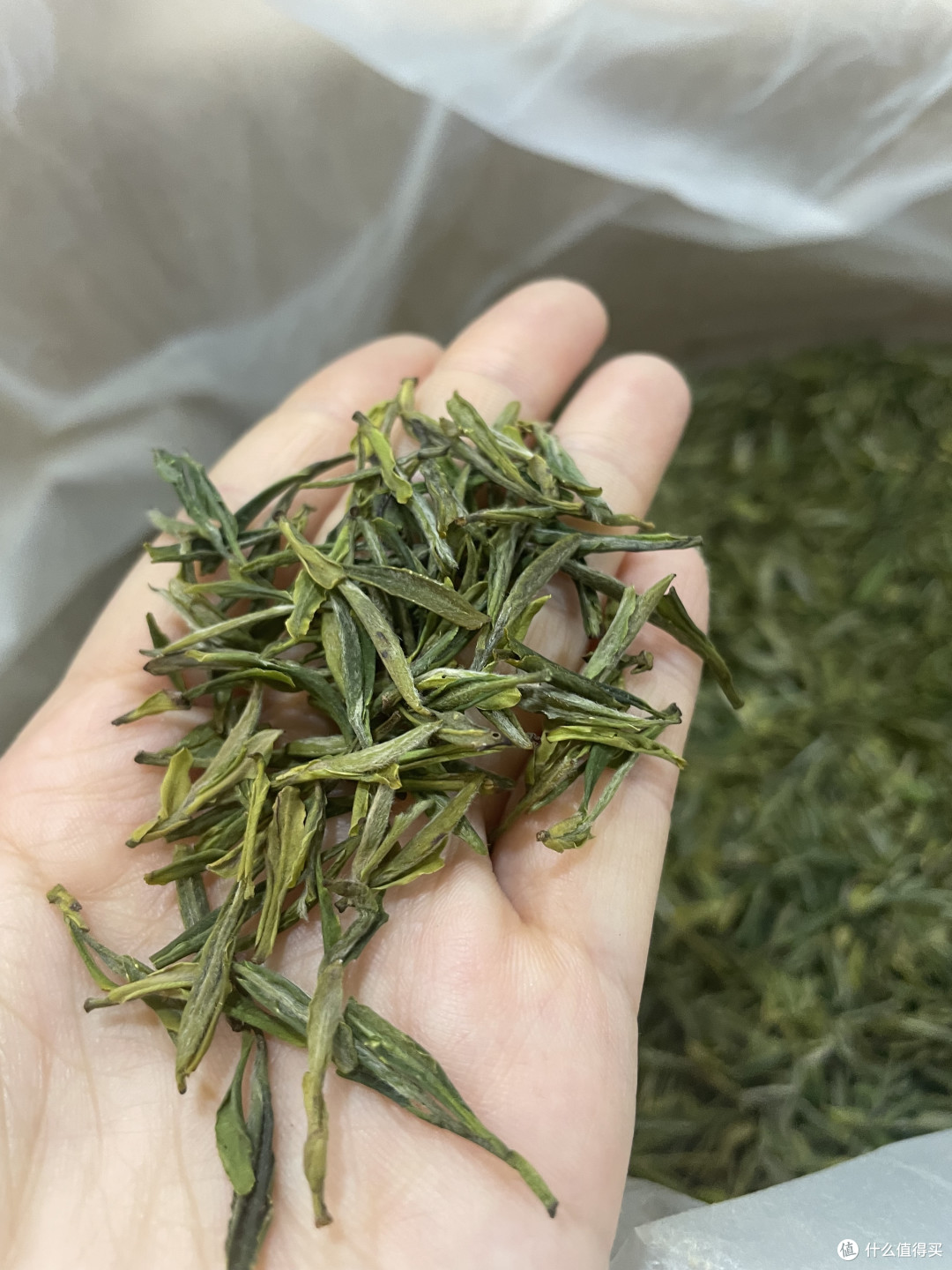 安徽口粮绿茶有什么选择?