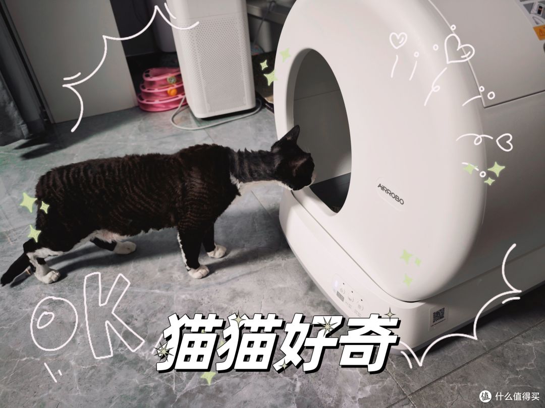 猫猫独自在家,我也能安心出差——OPPO智能猫砂盆、摄像头套件体验