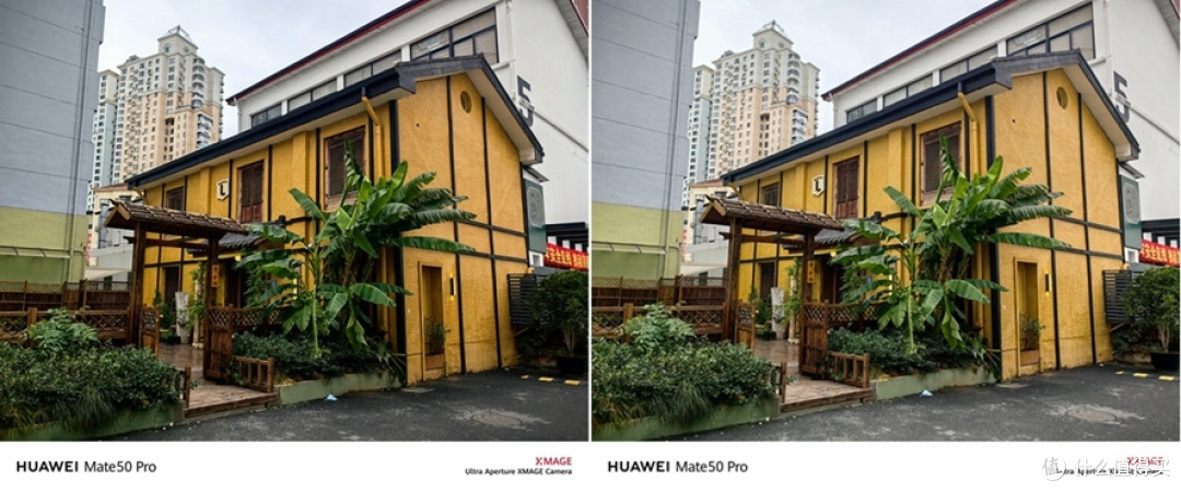 图：华为Mate 50 Pro鲜艳、明快