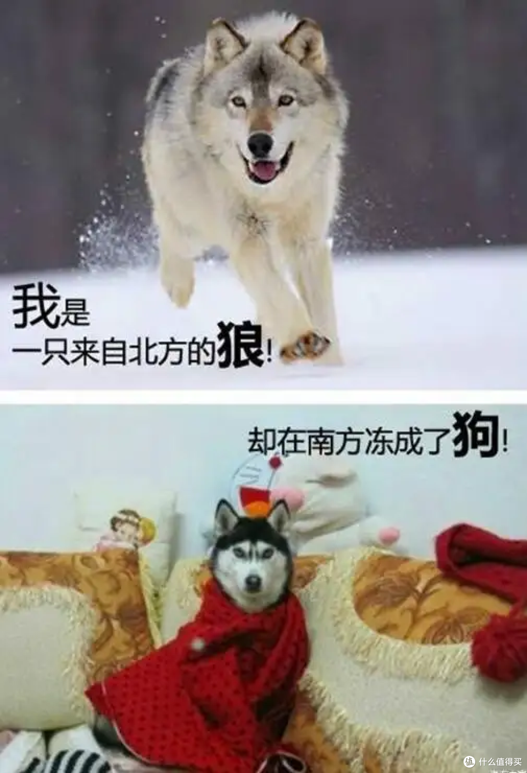 高端电热毯意大利enelca石墨烯电热毯分享