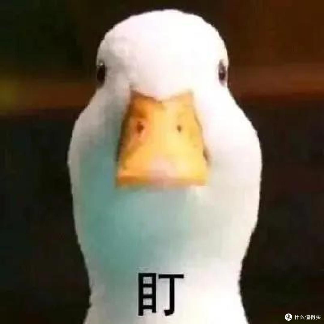 小众车英菲尼迪Q50L买车流水账-前传