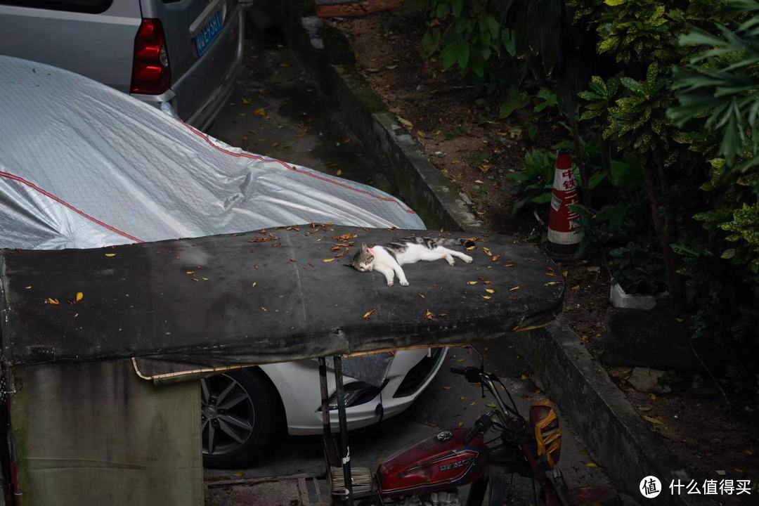 懒人的天涯镜 腾龙28-200 一镜走天涯 扫街风景无所不能