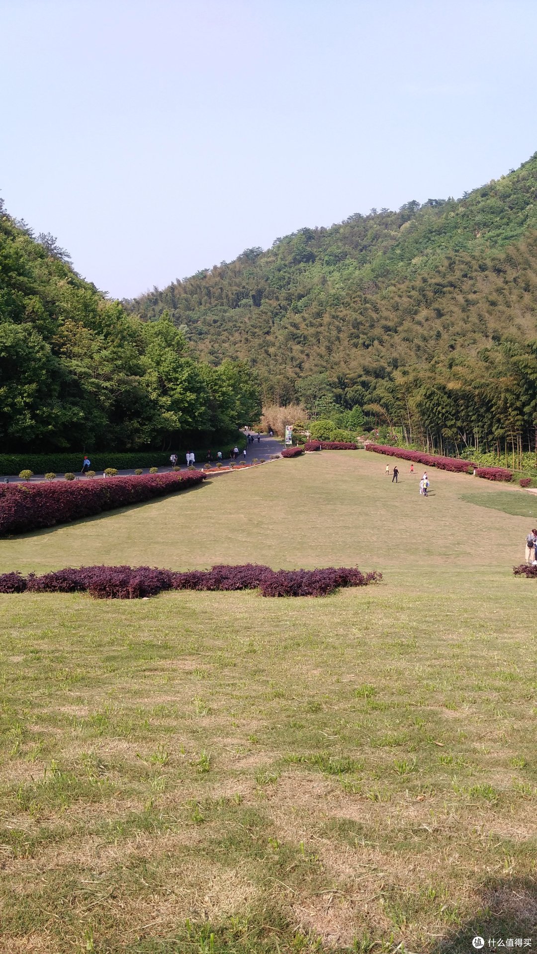 宜兴竹海打卡一日游。