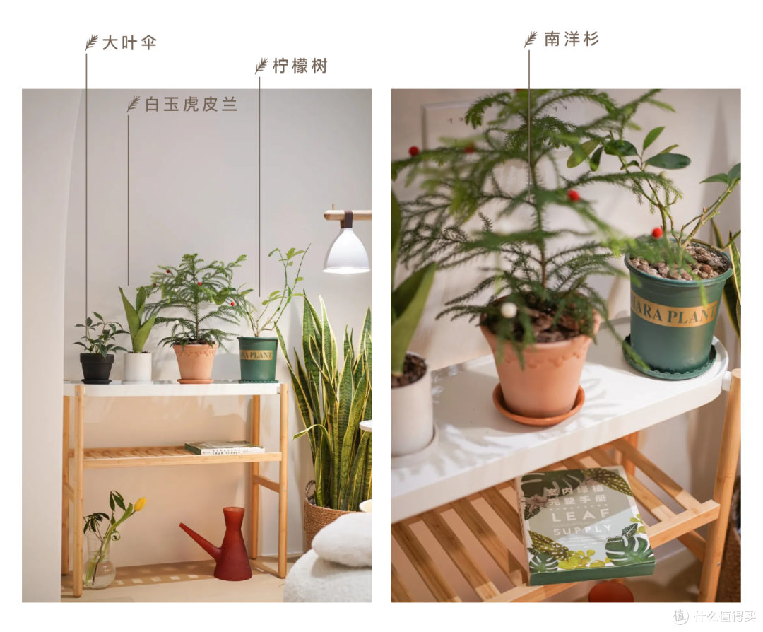 5年装修3套房，我的奶油屋装修故事