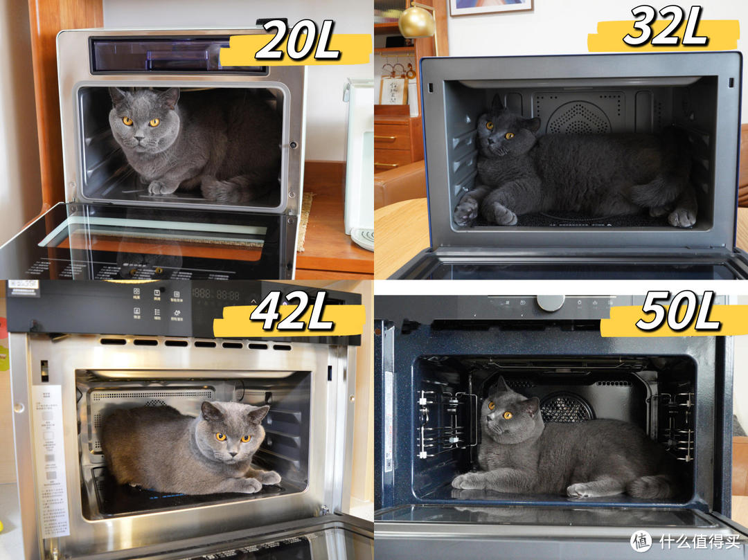 不同容量的烤箱对比，参照物：新一君（11斤）