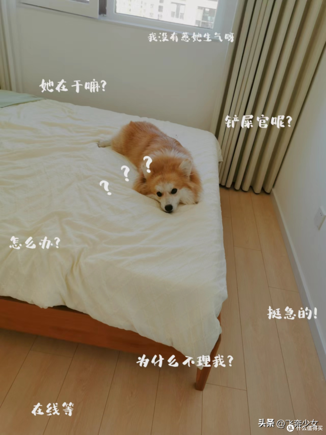 奶油风装修经验分享 | 自从住进这个家,再也没有羡慕过别人的房子