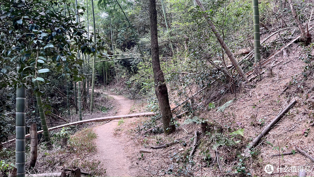 梅岭印象10，铁壁-香城-高路，阅山野苍翠