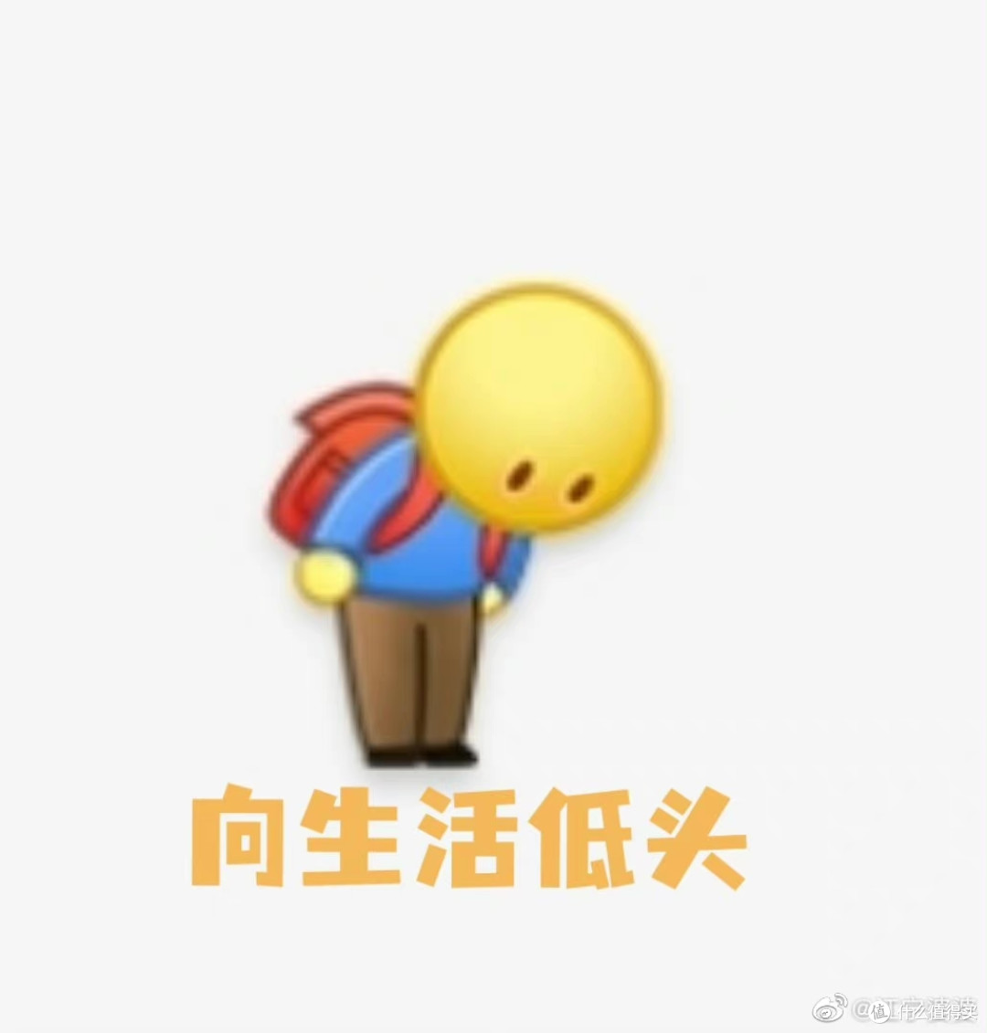 张大妈打卡1000天礼物来了!