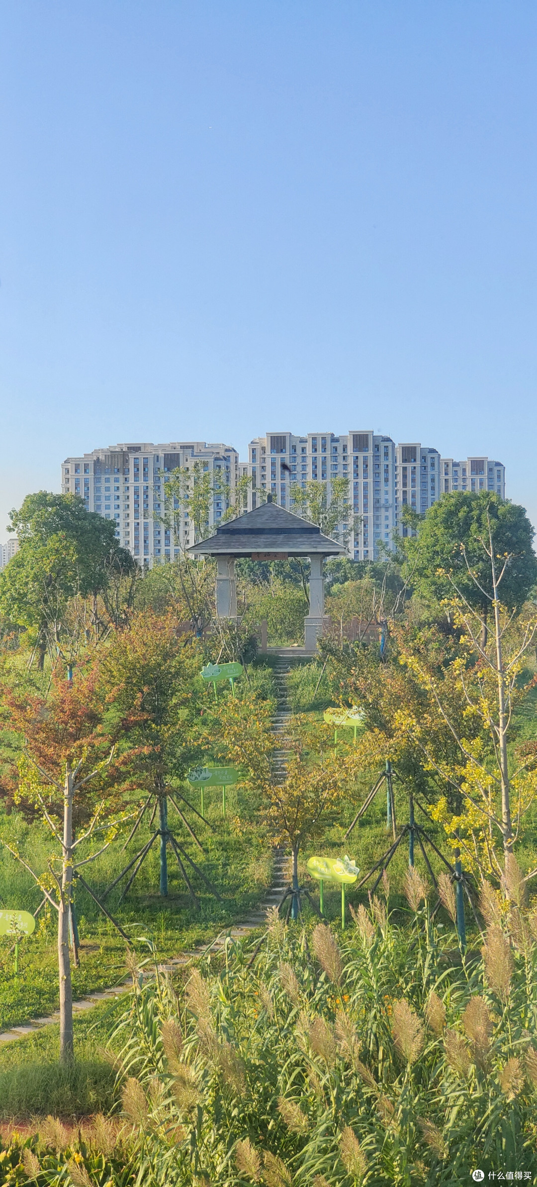 奉贤荒野公园游记/南胜村的贝港河公园里，氤氲着秋天的气息/年度上海市美丽乡村示范村的附属公园