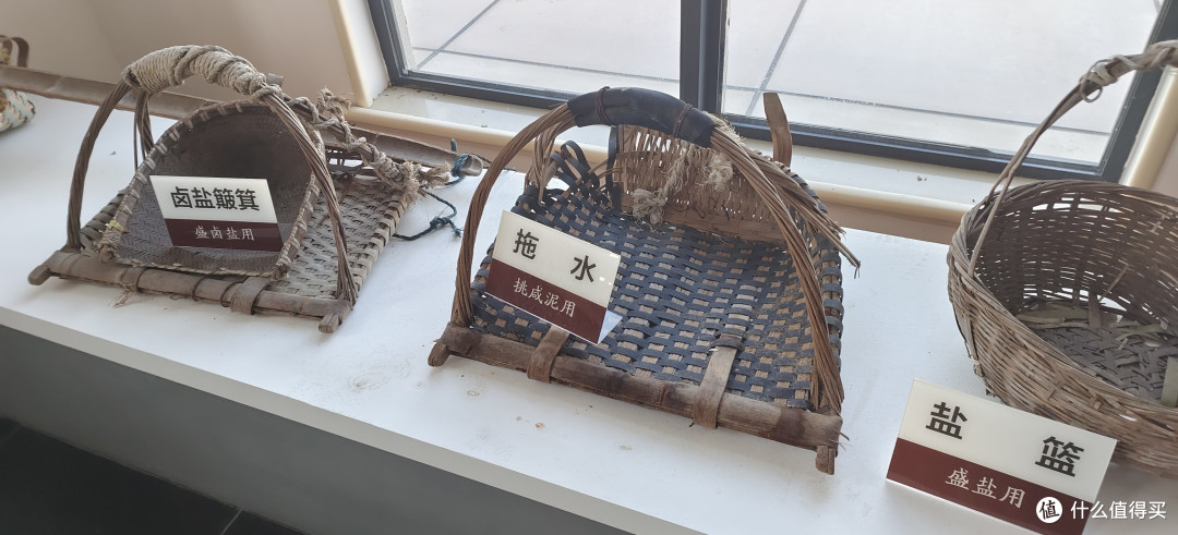 奉贤荒野公园游记/南胜村的贝港河公园里，氤氲着秋天的气息/年度上海市美丽乡村示范村的附属公园