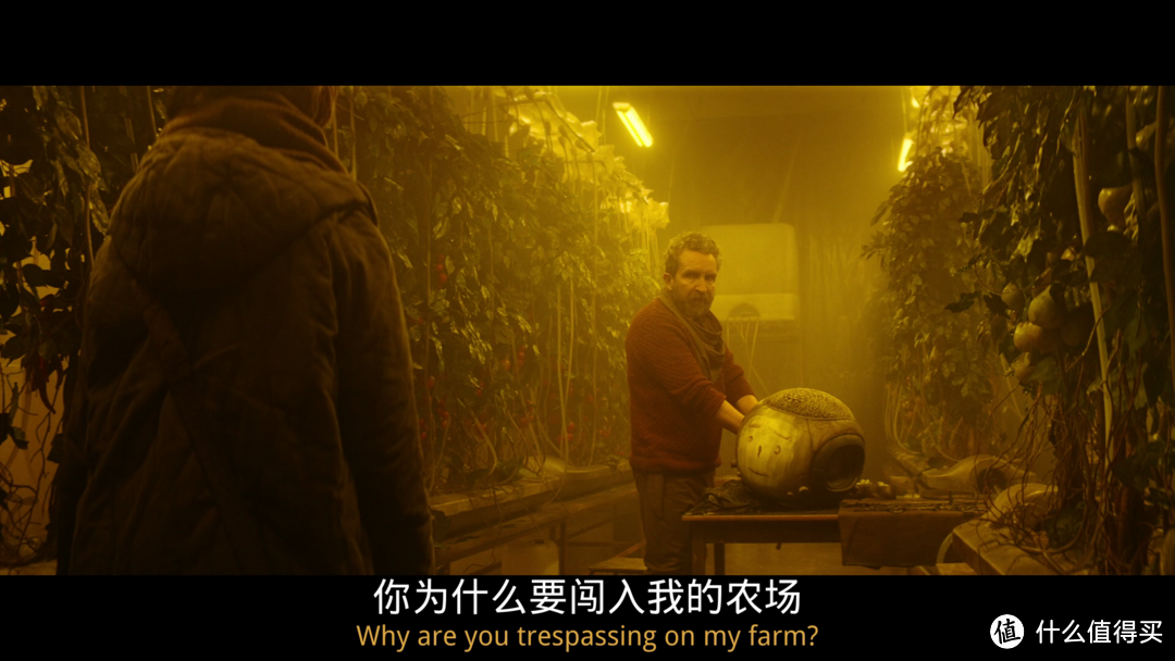 画面暗黑、剧情压抑的它,怎么就被赞年度最佳了,看完我找到了答案,有些隐喻我没解答出来大家一起聊聊