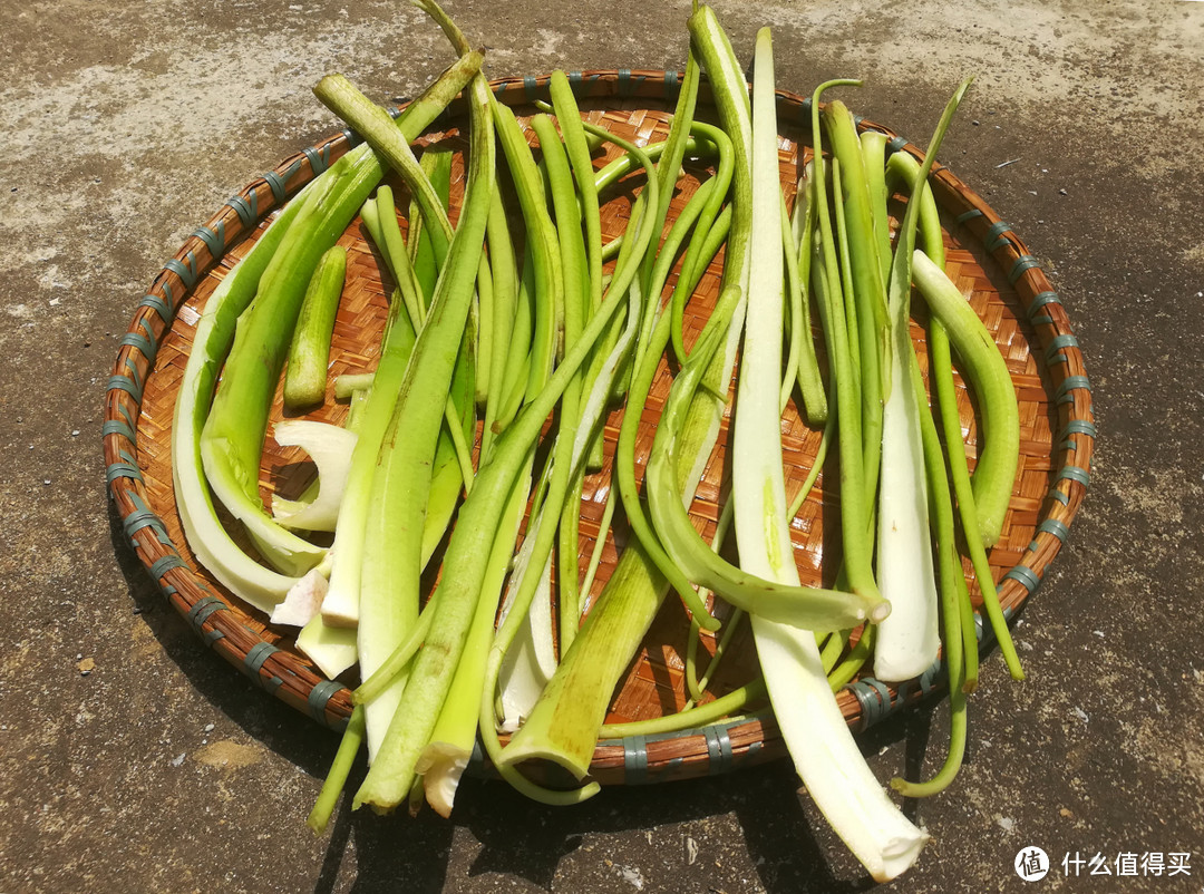 跟江西人学晒秋，这6种廉价蔬菜多晒点，2种焯水，4种直接晒，炒菜炖肉都好吃