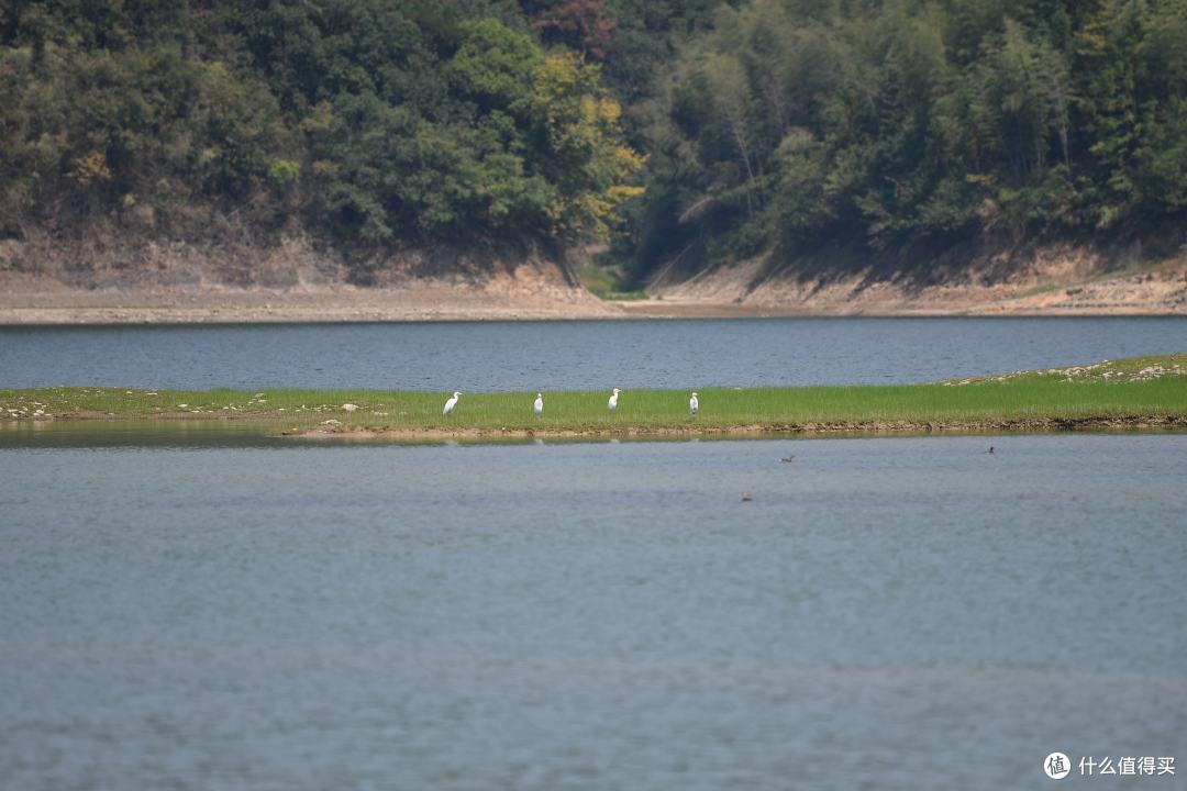 国庆杭州周边游之千岛湖48小时