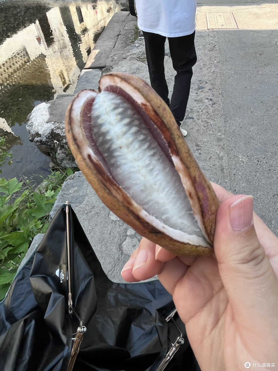 水果八月炸