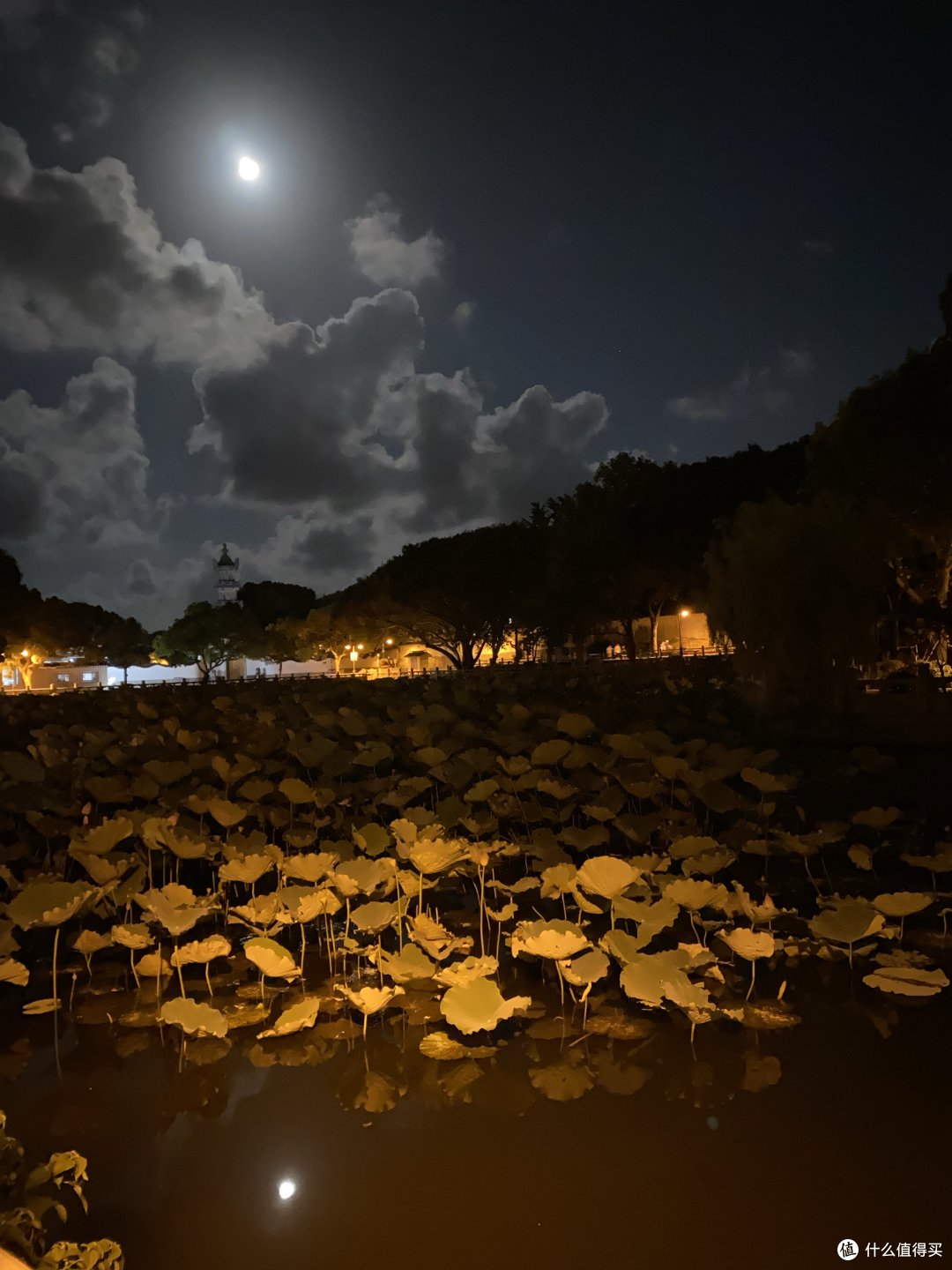 身临海天佛国,欣赏南海圣境
