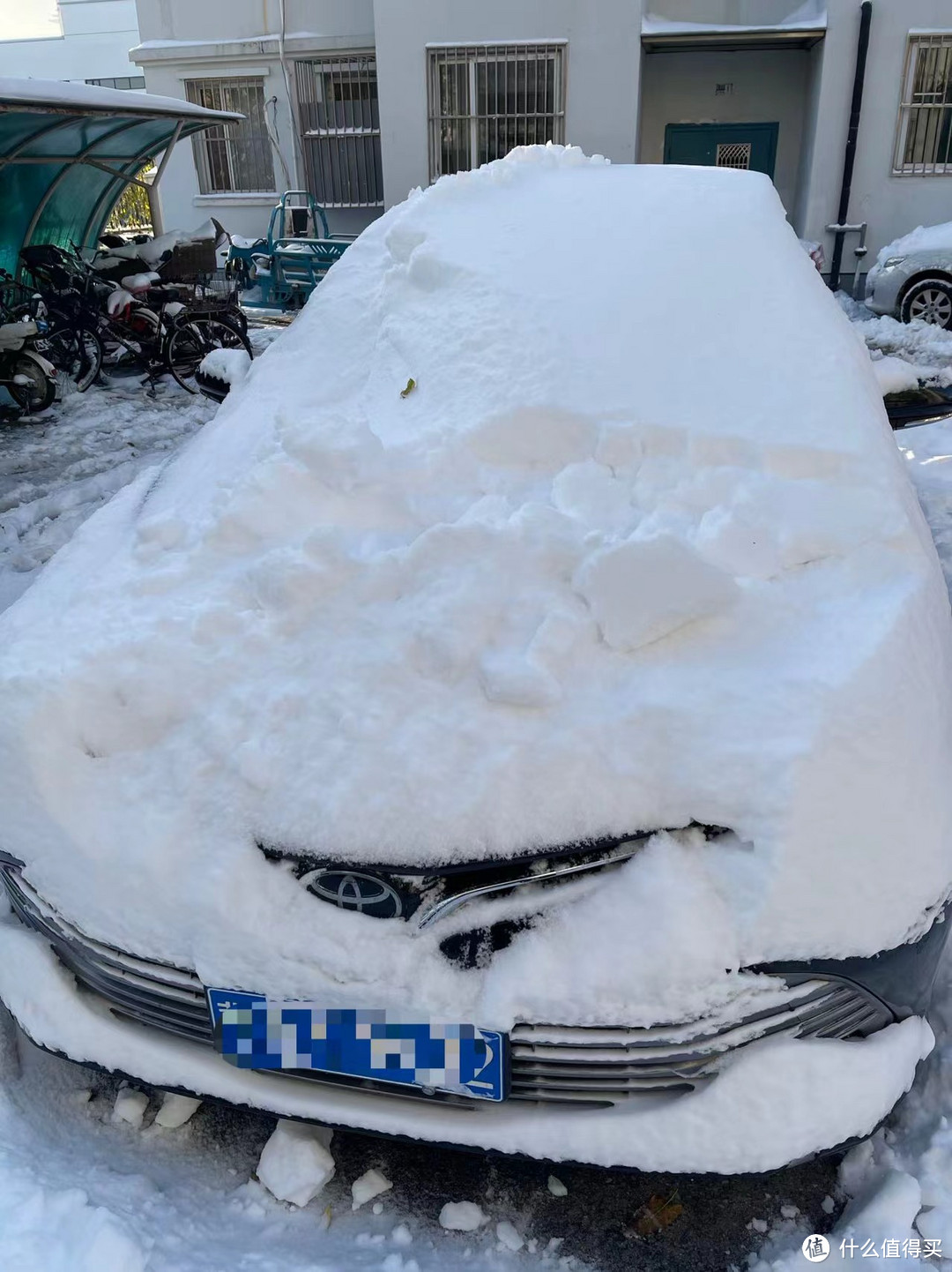 任性的雪，隐忍的车