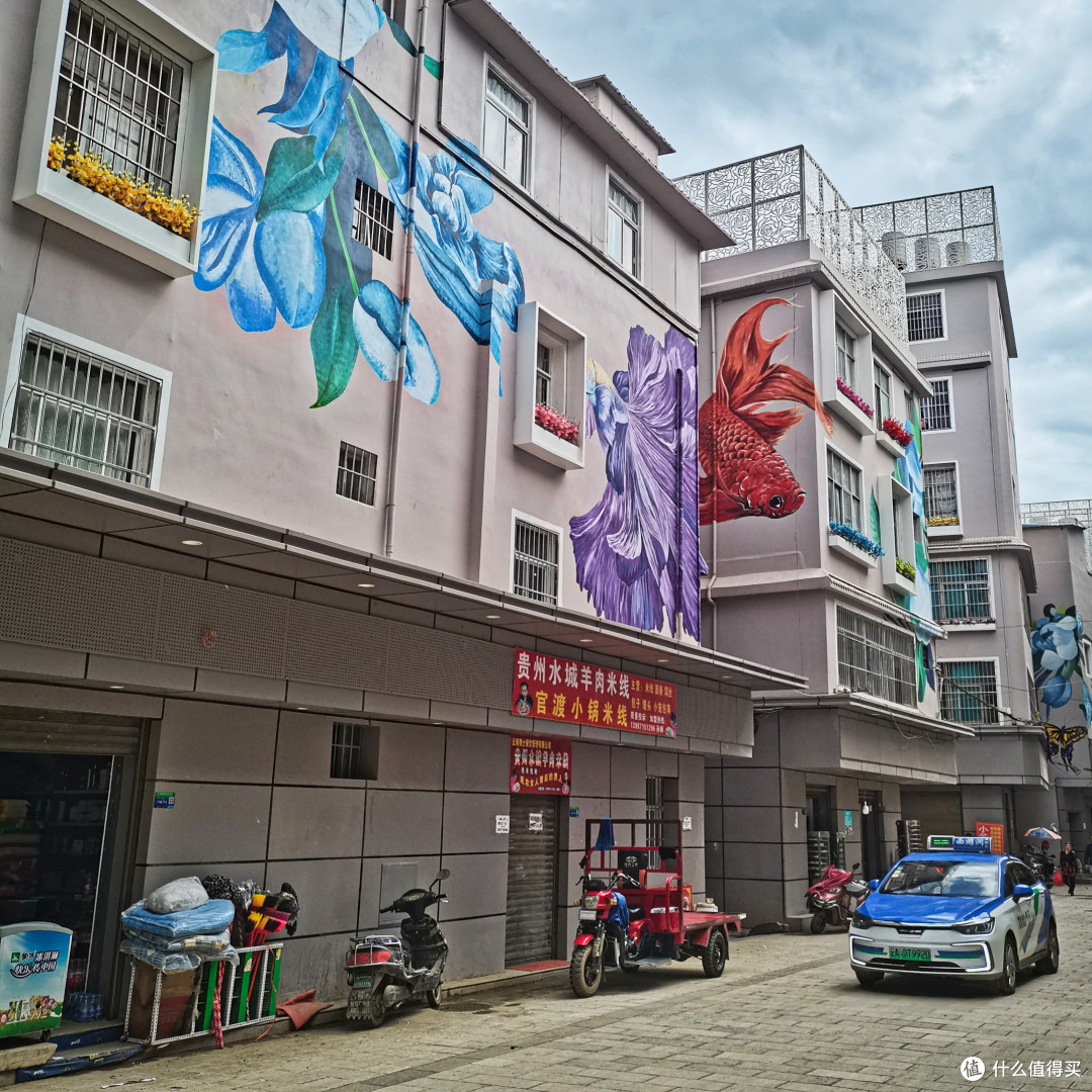 去昆明,别忽视斗南花市旁这个心远地自偏的好地方-斗南湿地公园
