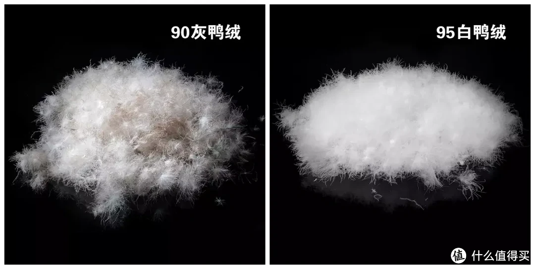 花1700买羽绒被到底值不值？羽绒被怎么选？认准这6个指标准没错！