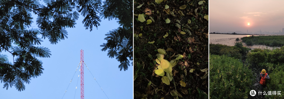 照片采用 X80 Pro 蔡司自然色彩模式拍摄