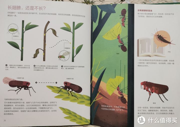 8本昆虫科普绘本，包揽科学、艺术、语文、游戏，让小朋友爱上探索大自然