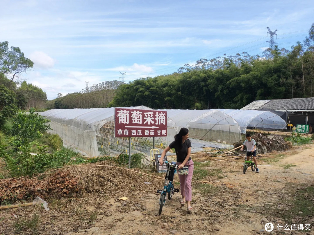 惠州博罗禾肚里自驾游